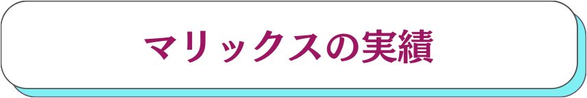 マリックスの実績